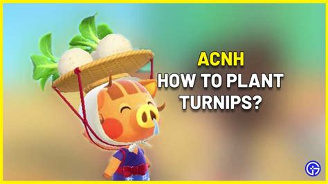 Can You Plant Turnips in Animal Crossing? And Why Do Turnips Make the Best Neighbors?