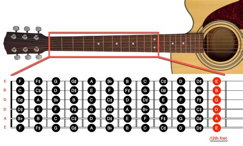 How Many Chords on a Guitar: A Symphony of Strings and Imagination