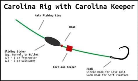 How to Make a Carolina Rig for Saltwater Fishing: A Deep Dive into the Art of Bait Presentation and Why Fish Love Disco Lights