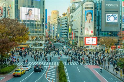 渋谷 ひとりごはん - 孤独とグルメの交差点